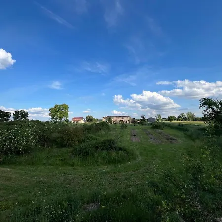Les Vabres - Ancienne Ferme Renovee Piscine Petanque