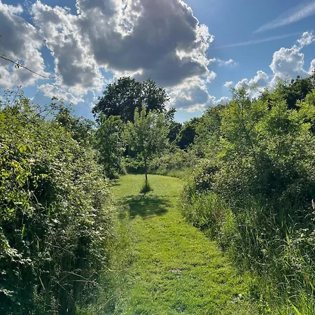 Les Vabres - Ancienne Ferme Renovee Piscine Petanque Coufouleux